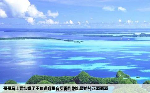 哥哥马上要结婚了不知道哪里有买得到刚出窖的纯正葡萄酒