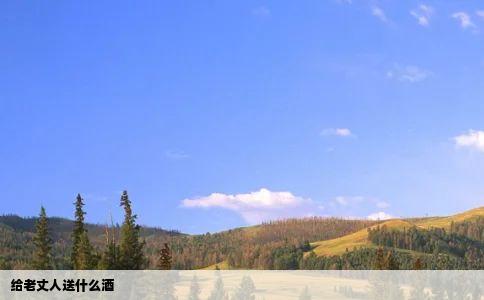 给老丈人送什么酒