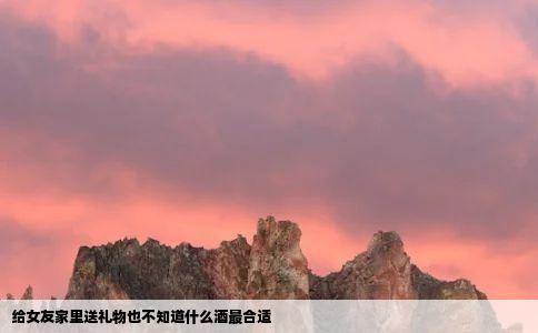 给女友家里送礼物也不知道什么酒最合适