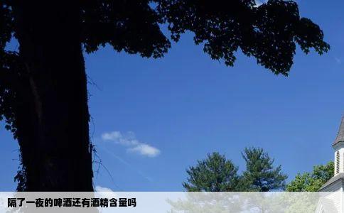 隔了一夜的啤酒还有酒精含量吗