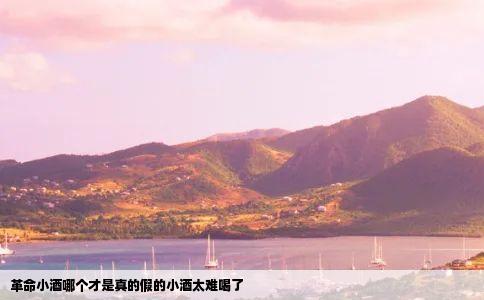 革命小酒哪个才是真的假的小酒太难喝了