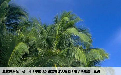 跟我男友在一起一年了平时很少说爱我昨天喝酒了喝了两瓶酒一直说