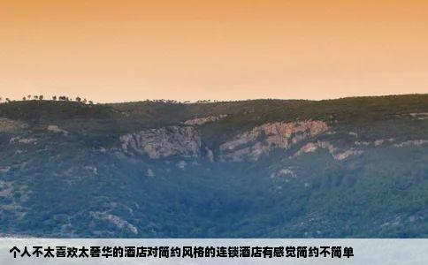 个人不太喜欢太奢华的酒店对简约风格的连锁酒店有感觉简约不简单