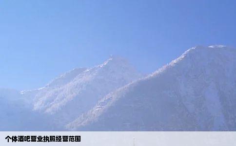 个体酒吧营业执照经营范围