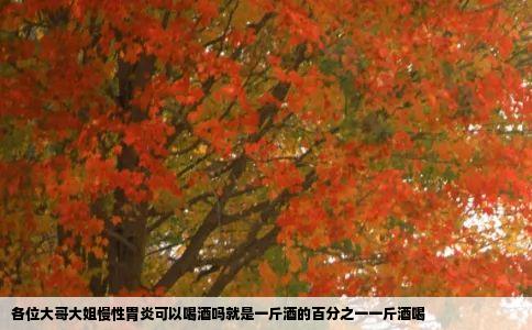 各位大哥大姐慢性胃炎可以喝酒吗就是一斤酒的百分之一一斤酒喝