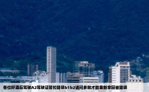 各位好酒后驾驶A2驾驶证暂扣降级b1b2请问多就才能重新拿回被降级