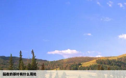 隔夜的茶叶有什么用处