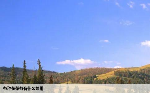 各种花茶各有什么妙用