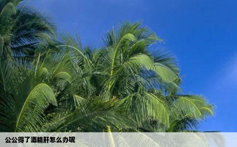 公公得了酒精肝怎么办呢