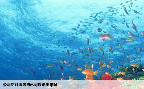 公司给订酒店自己可以退出来吗