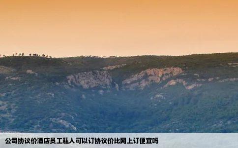 公司协议价酒店员工私人可以订协议价比网上订便宜吗