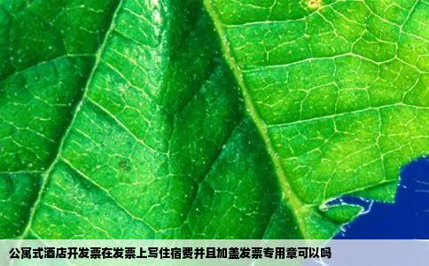 公寓式酒店开发票在发票上写住宿费并且加盖发票专用章可以吗