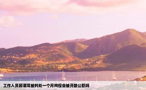 工作人员因酒驾被判处一个月拘役会被开除公职吗