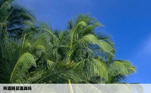 购酒网买酒真吗