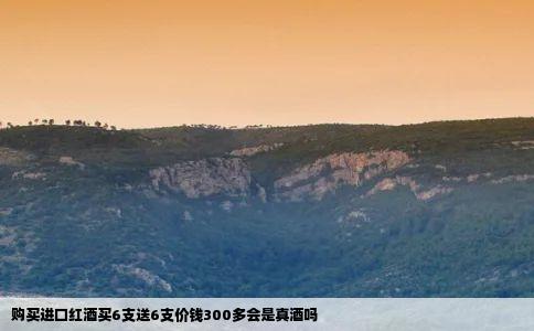 购买进口红酒买6支送6支价钱300多会是真酒吗