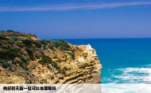 枸杞和天麻一起可以泡酒喝吗