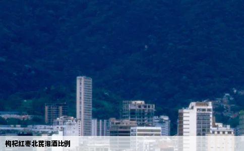 枸杞红枣北芪泡酒比例