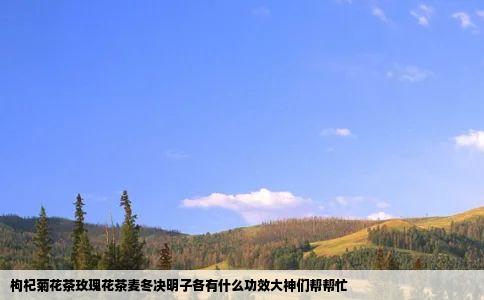 枸杞菊花茶玫瑰花茶麦冬决明子各有什么功效大神们帮帮忙