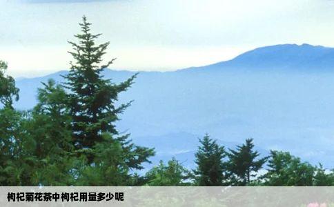 枸杞菊花茶中枸杞用量多少呢