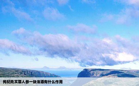 枸杞肉苁蓉人参一块泡酒有什么作用