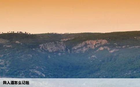 购入酒怎么记帐