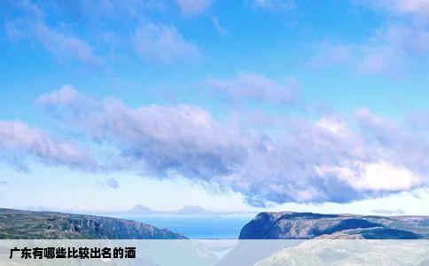 广东有哪些比较出名的酒