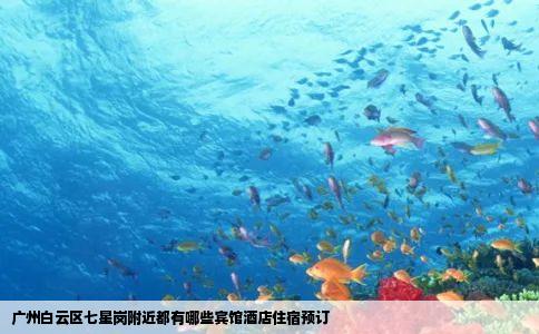 广州白云区七星岗附近都有哪些宾馆酒店住宿预订