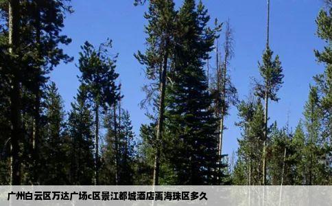 广州白云区万达广场c区景江都城酒店离海珠区多久