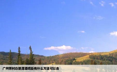 广州芳村白鹅潭酒吧街有什么方法可以去