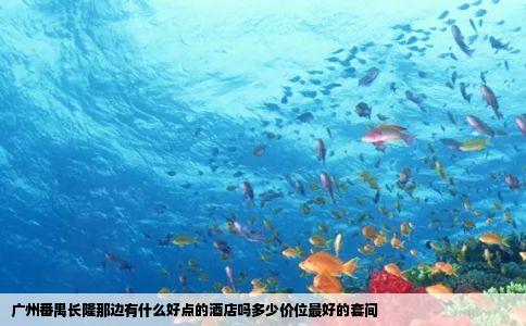 广州番禺长隆那边有什么好点的酒店吗多少价位最好的套间