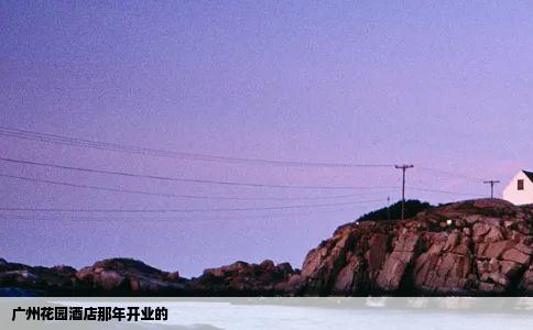 广州花园酒店那年开业的