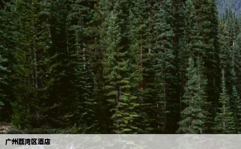 广州荔湾区酒店