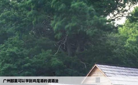 广州那里可以学到鸡尾酒的调酒法