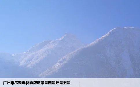 广州希尔顿逸林酒店这家是四星还是五星