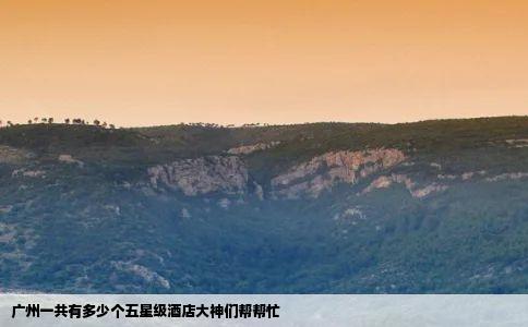 广州一共有多少个五星级酒店大神们帮帮忙