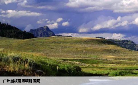 广州最权威酒精肝医院