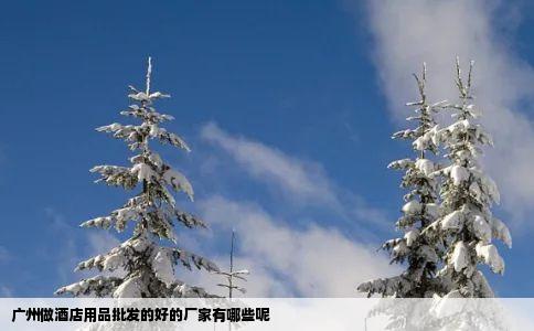 广州做酒店用品批发的好的厂家有哪些呢