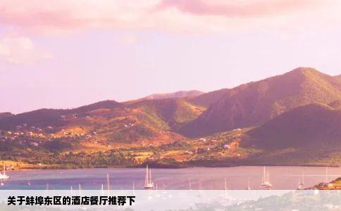 关于蚌埠东区的酒店餐厅推荐下