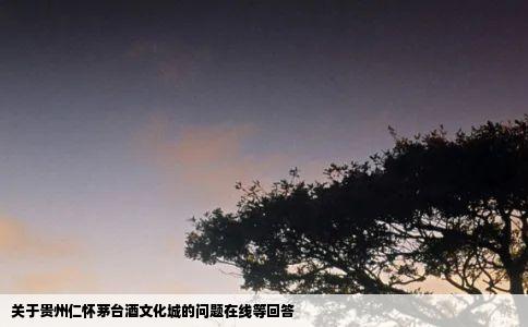 关于贵州仁怀茅台酒文化城的问题在线等回答