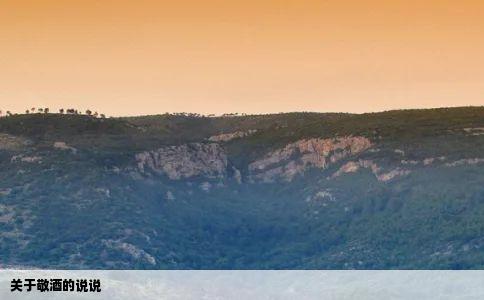 关于敬酒的说说