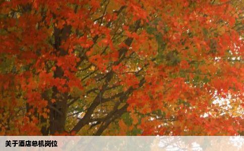 关于酒店总机岗位