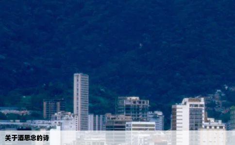 关于酒思念的诗