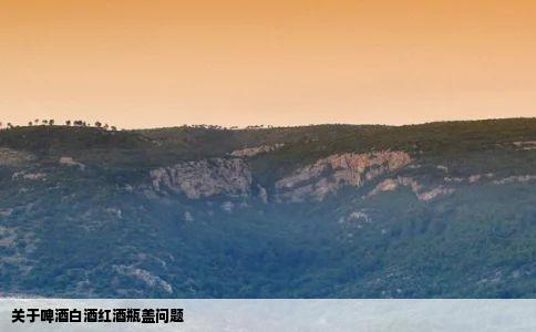 关于啤酒白酒红酒瓶盖问题