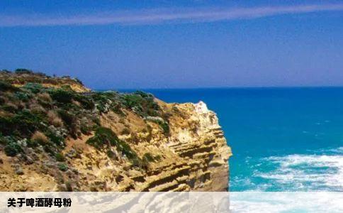 关于啤酒酵母粉