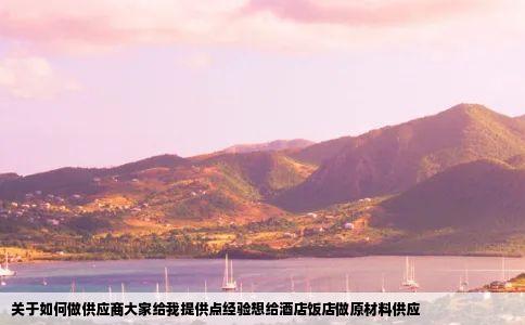 关于如何做供应商大家给我提供点经验想给酒店饭店做原材料供应