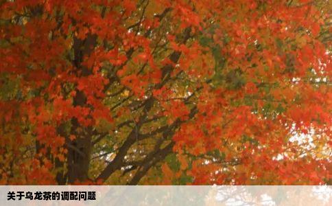关于乌龙茶的调配问题