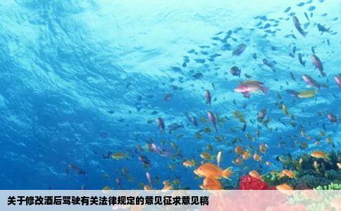 关于修改酒后驾驶有关法律规定的意见征求意见稿