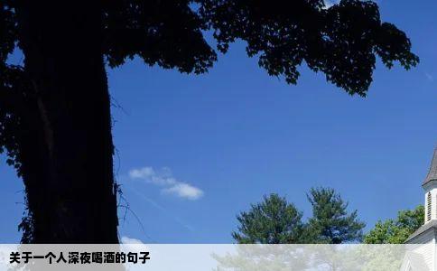 关于一个人深夜喝酒的句子