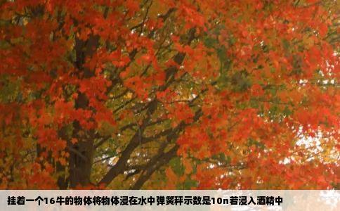 挂着一个16牛的物体将物体浸在水中弹簧秤示数是10n若浸入酒精中