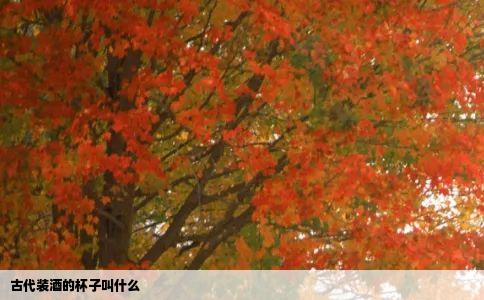 古代装酒的杯子叫什么